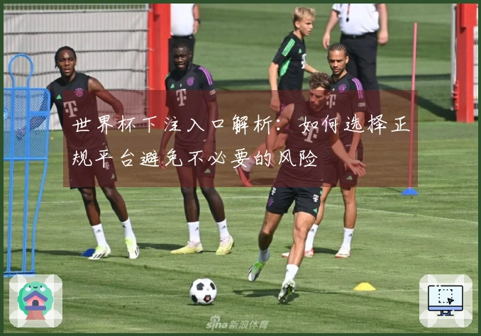 世界杯下注入口解析：如何选择正规平台避免不必要的风险
