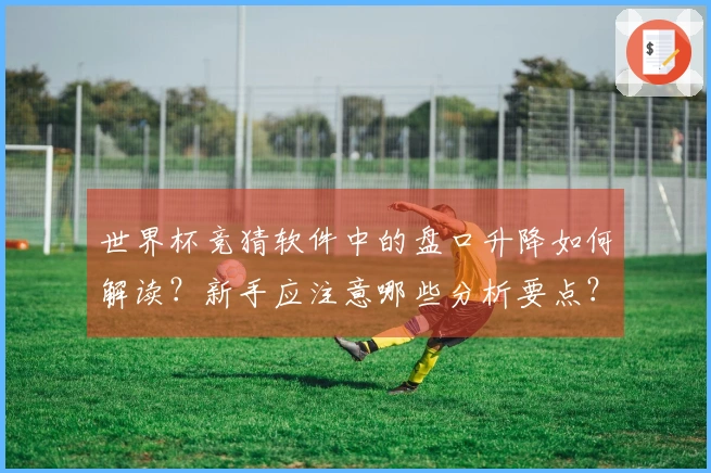 世界杯竞猜软件中的盘口升降如何解读？新手应注意哪些分析要点？