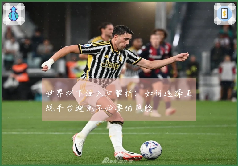世界杯下注入口解析：如何选择正规平台避免不必要的风险