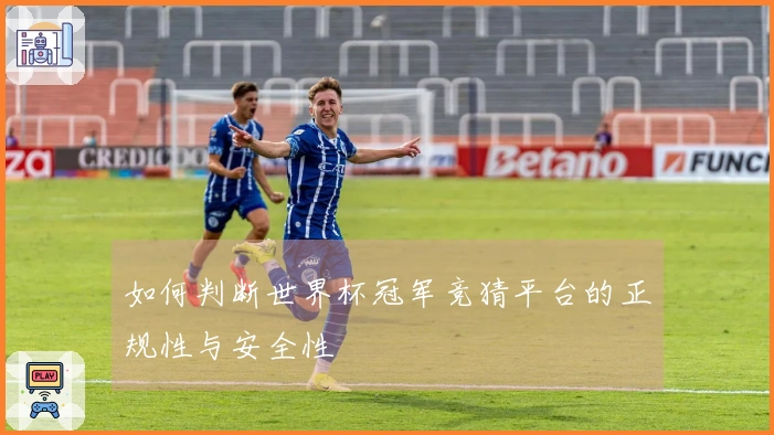 如何判断世界杯冠军竞猜平台的正规性与安全性