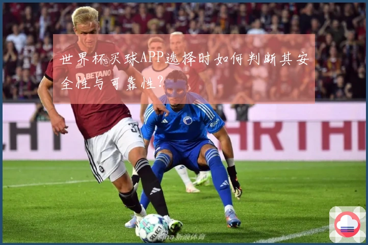 世界杯买球APP选择时如何判断其安全性与可靠性？
